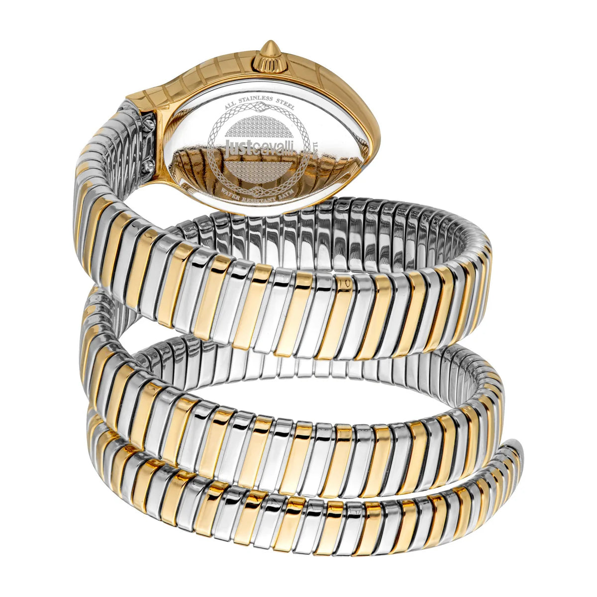 Just Cavalli Women's Watch – Model JC1L248M0065