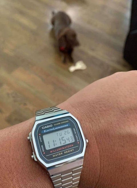 Casio Men’s Digital Watch A159WA-N1DF – Stainless Steel Silver Strap, Square Vintage Design, Quartz Movement