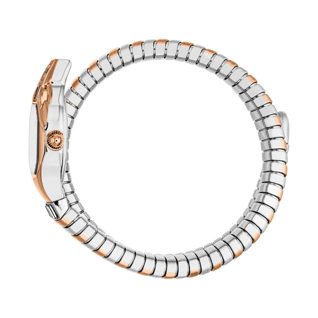 Just Cavalli Brillante Women’s Watch JC1L326M0065 – Silver Dial, Two-Tone Stainless Steel Bracelet, Elegant Fashion Watch