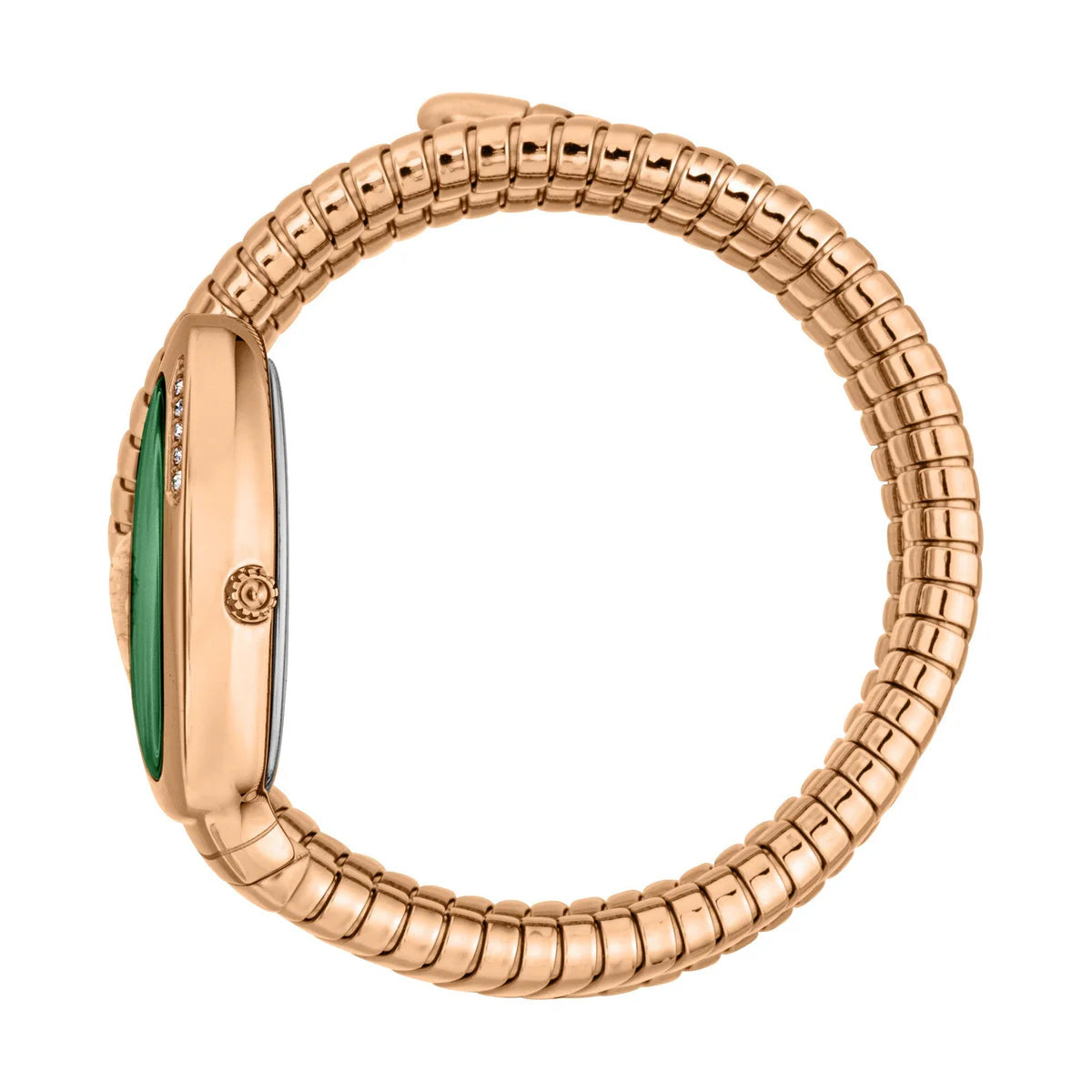 Just Cavalli Glam Snake Rose Gold-Tone | Model JC1L228M0055