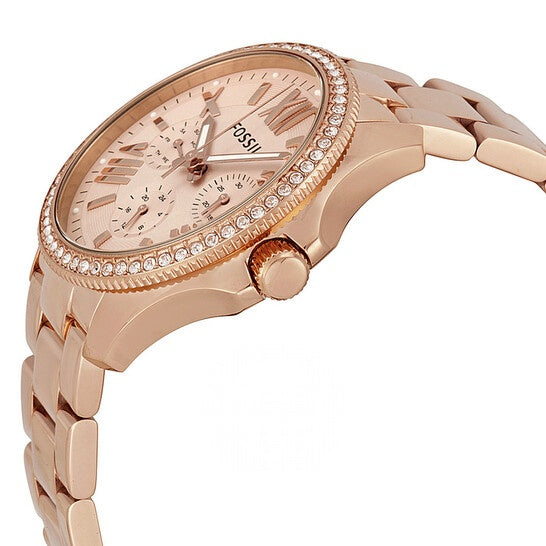 Fossil Watch For Women AM4483