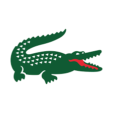 LACOSTE ( WOMEN )