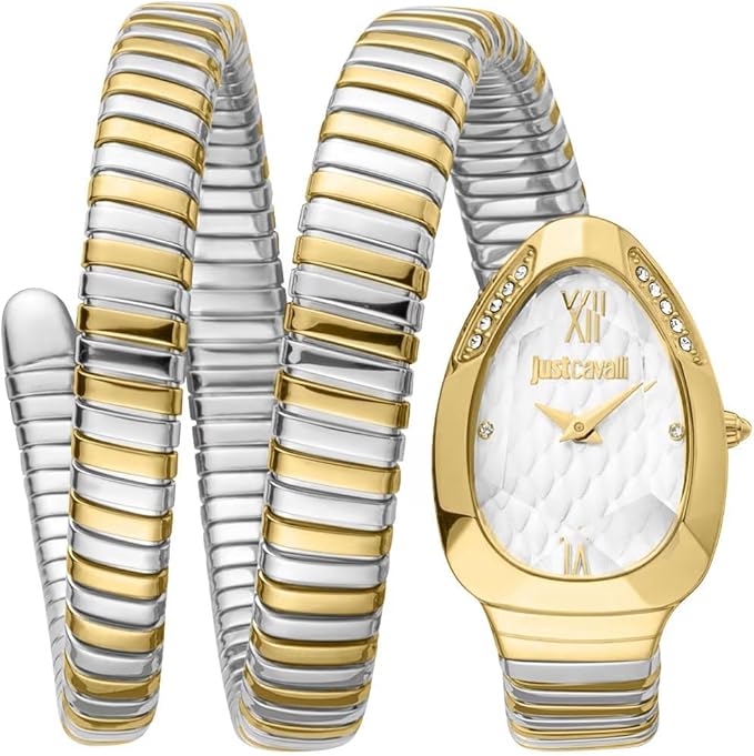 Just Cavalli Glam Evo 9 Family Glam Women’s Watch JC1L224M0065 – Silver Dial Stainless Steel Quartz
