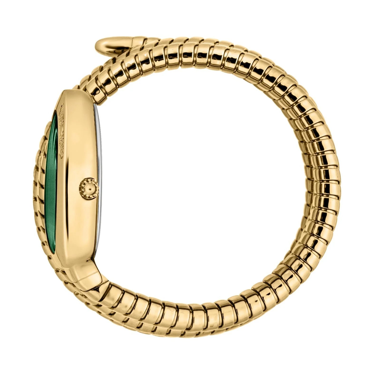 Just Cavalli Ladies Cosenza Watch JC1L232M0035