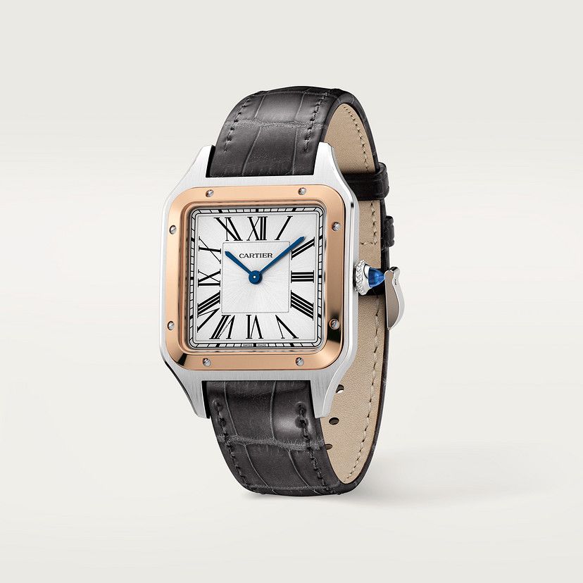 Cartier Watch For Unisex