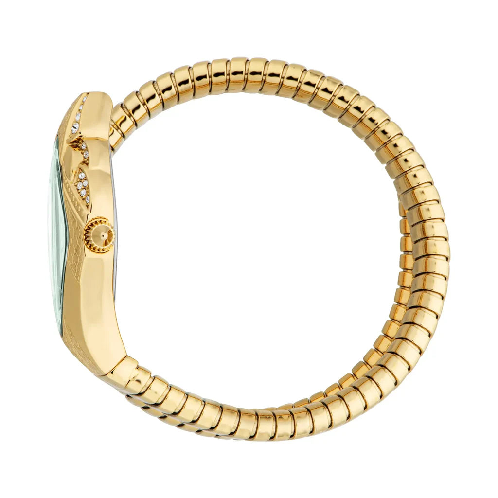 Just Cavalli Brillante Women’s Watch JC1L326M0035 – Green Dial, Gold Stainless Steel Strap, Luxury Fashion Watch