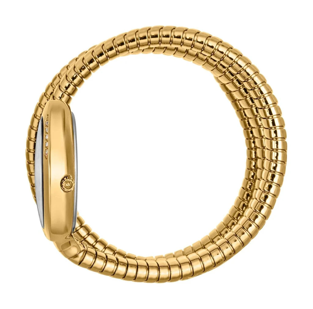Just Cavalli Glam Evo 5 Women’s Watch JC1L228M0035 – Silver Dial, Gold Stainless Steel Bracelet, Quartz Fashion Watch