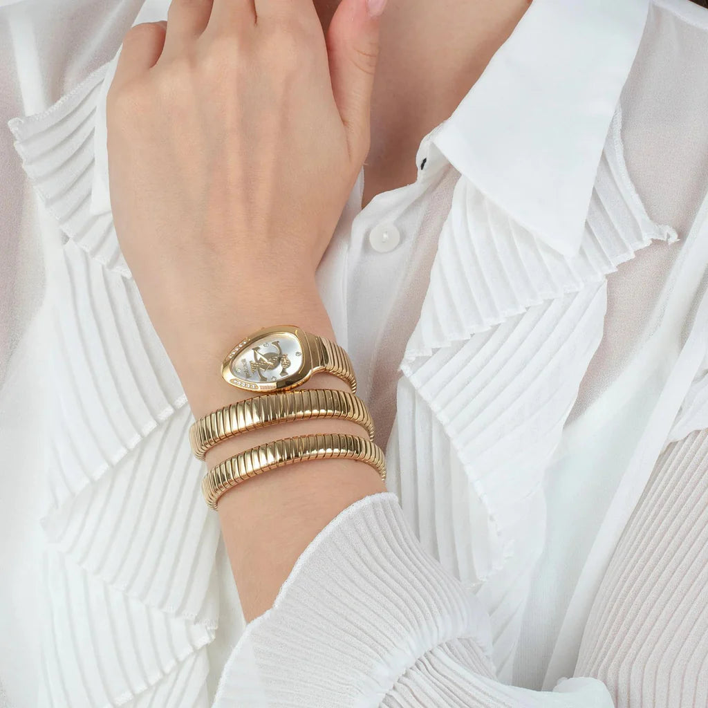 Just Cavalli Glam Evo 5 Women’s Watch JC1L228M0035 – Silver Dial, Gold Stainless Steel Bracelet, Quartz Fashion Watch