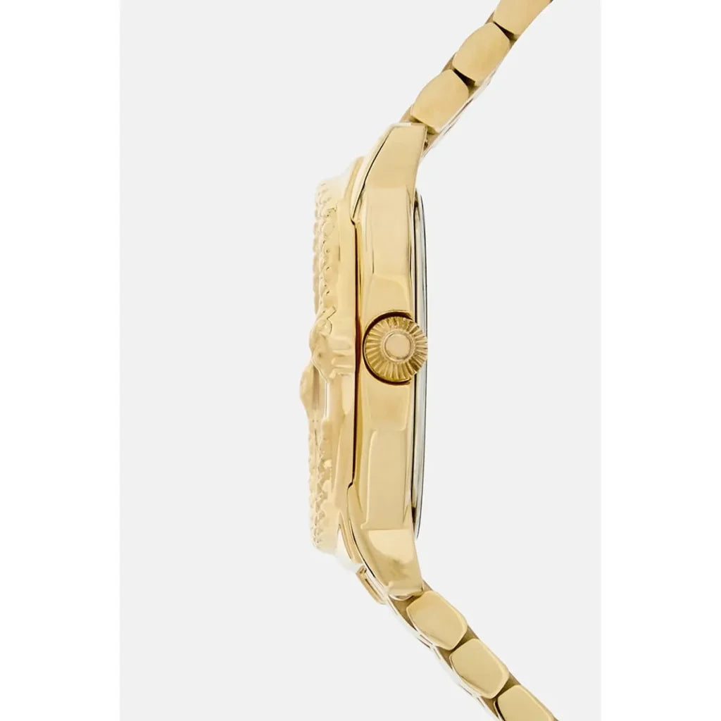 Roberto Cavalli RV1L225M0051 Women’s Watch – Franck Muller Collaboration, Gold Stainless Steel Bracelet with Green Dial, Luxury Quartz Timepiece