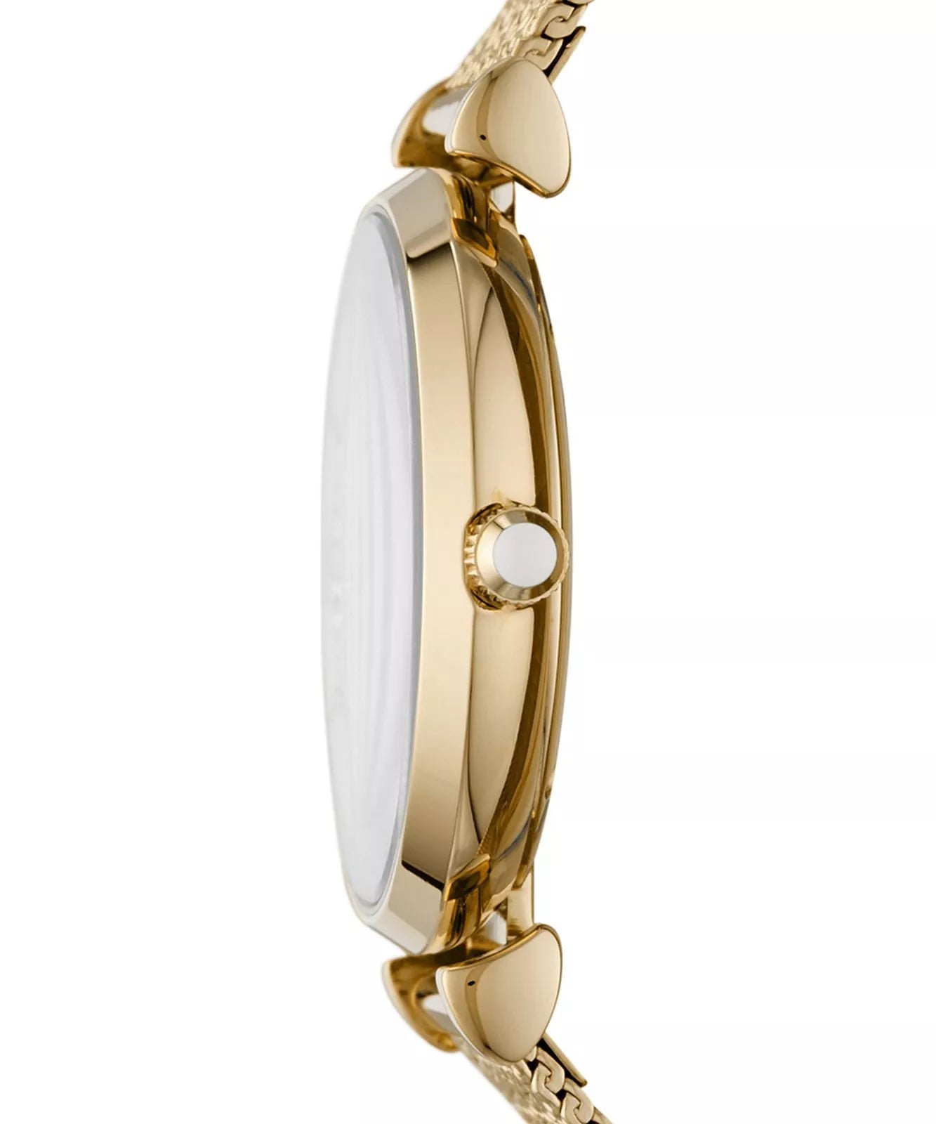 AR11321 Emporio Armani AR11321 Women's Watch